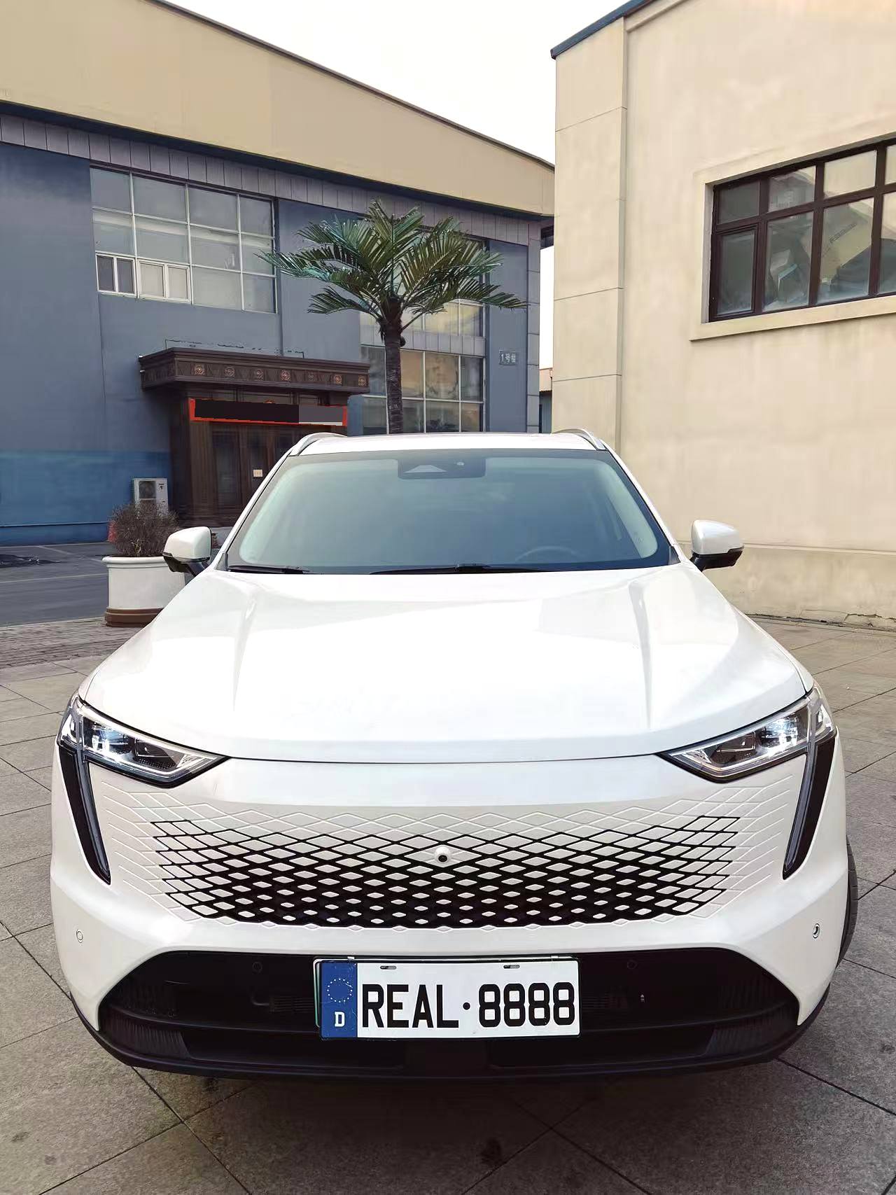哈弗枭龙 MAX Model Year 1.5L Hi 4 105 四驱领航版