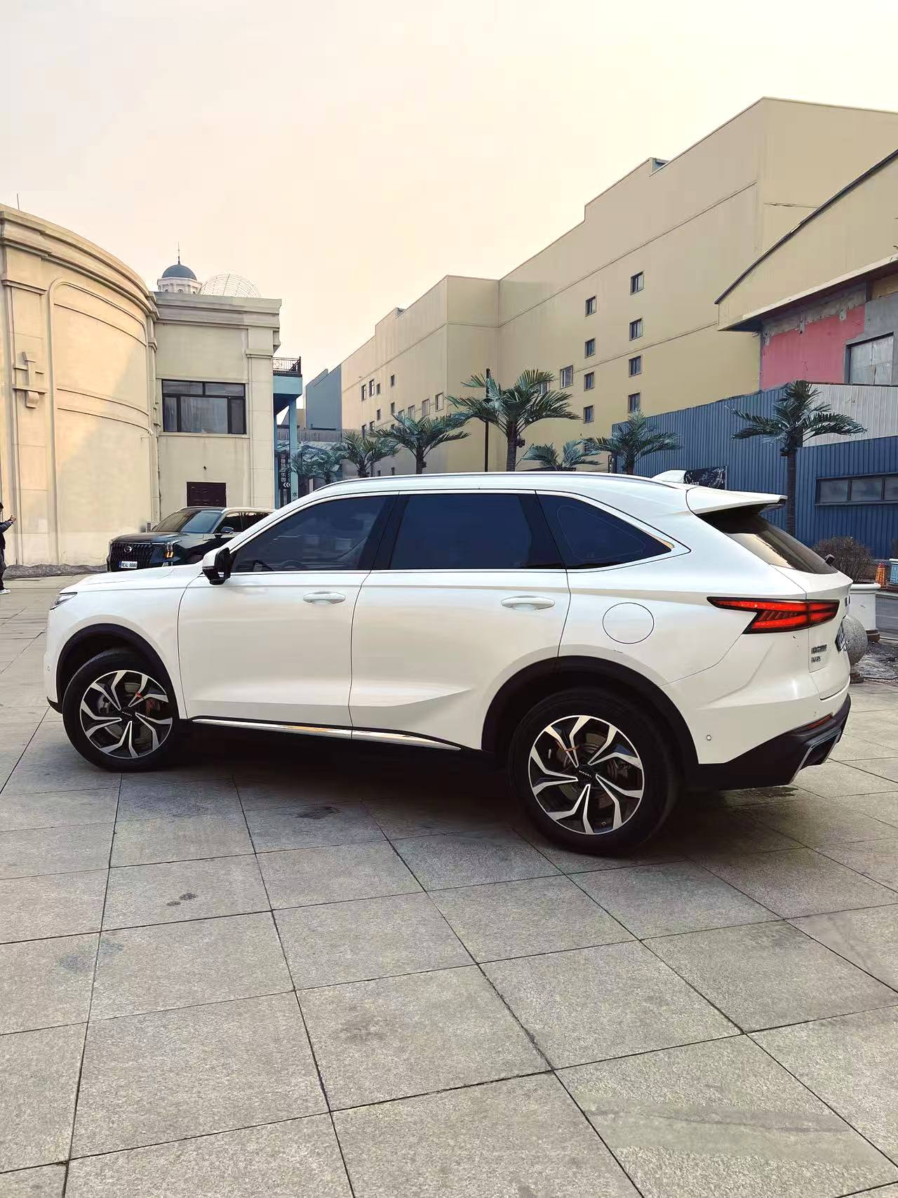 哈弗枭龙 MAX Model Year 1.5L Hi 4 105 四驱领航版