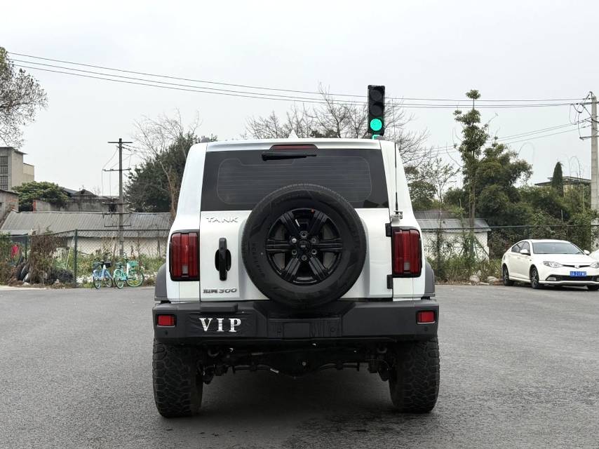 Tank 300 2.0T