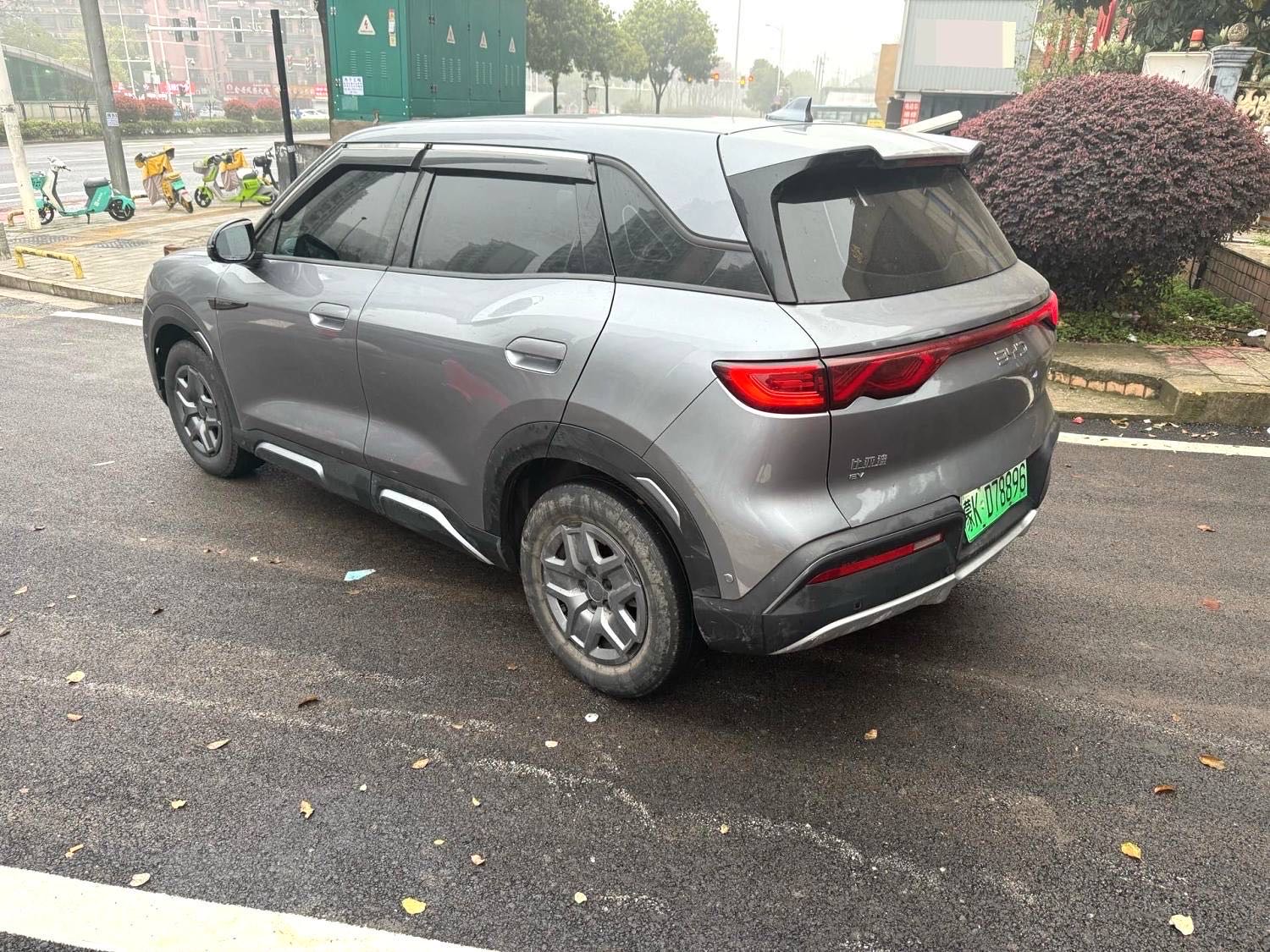 BYD UP 401KM Vitality