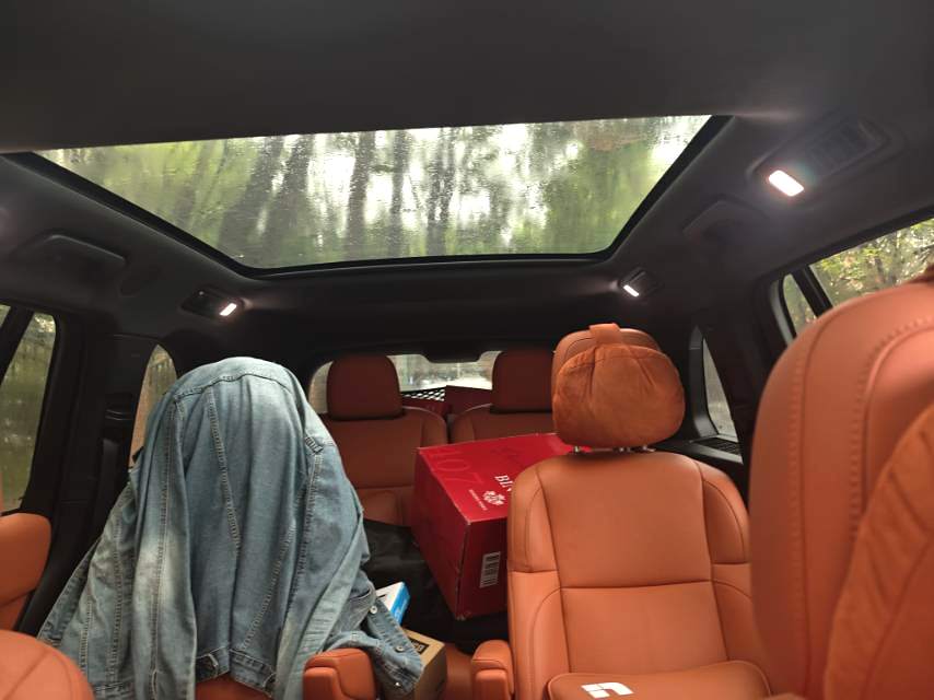 Li Auto L (Liter) 7 Air