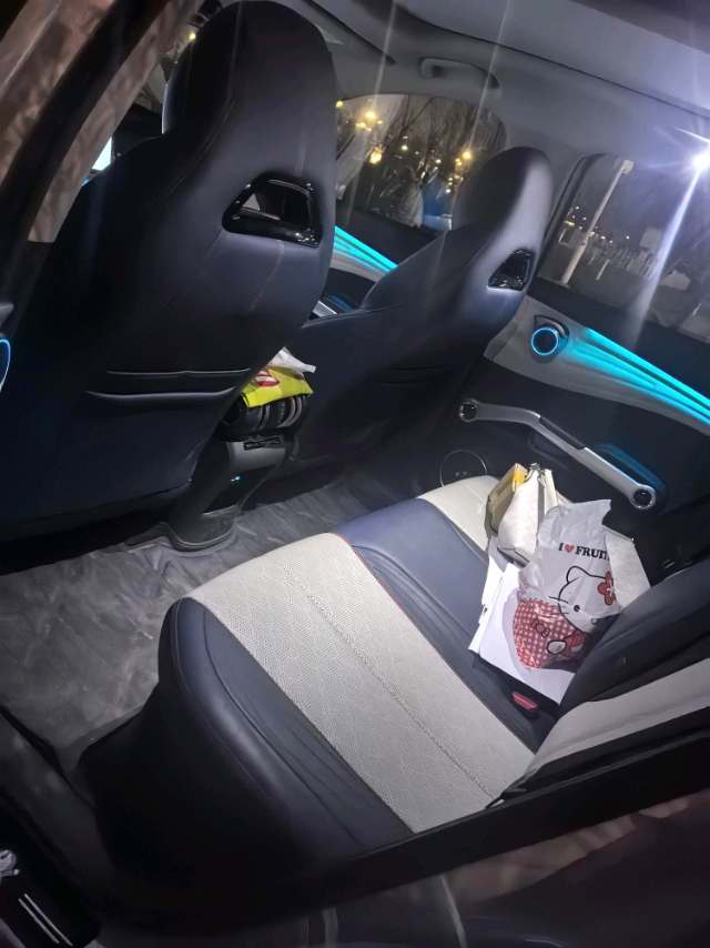 元 PLUS Model Year 510KM Flagship