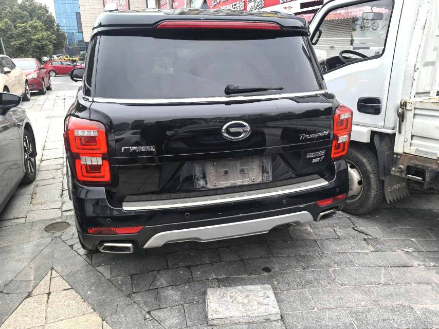 传祺 GS 8 Model Year 320T 四驱豪华智联版 七座