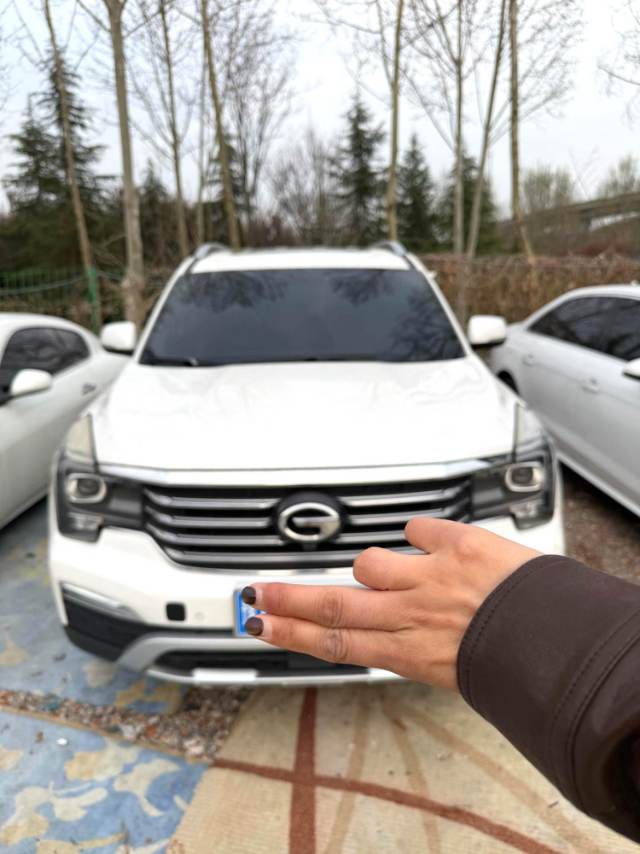 传祺 GS 8 Model Year 320T 两驱豪华版 七座