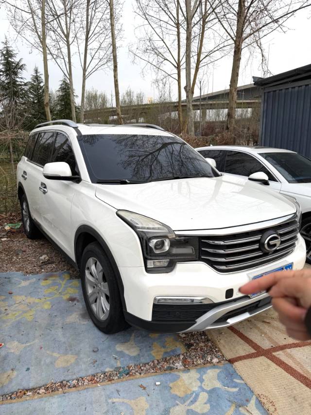 传祺 GS 8 Model Year 320T 两驱豪华版 七座
