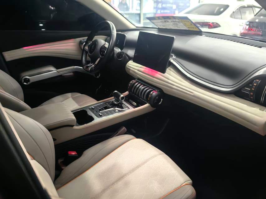 BYD PLUS 510KM Advanced
