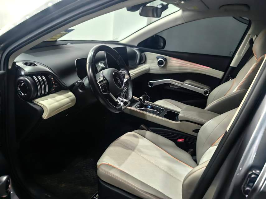 BYD PLUS 510KM Advanced