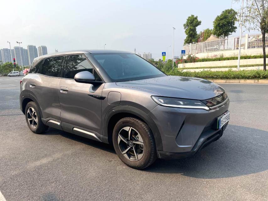 元 UP Model Year 401KM Advanced