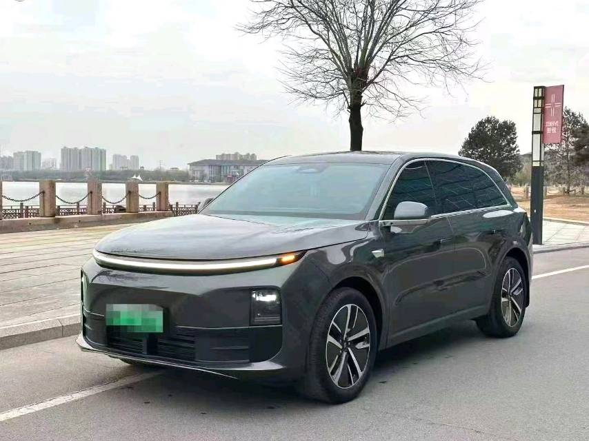 理想 L（升） 6 型号年份 Pro