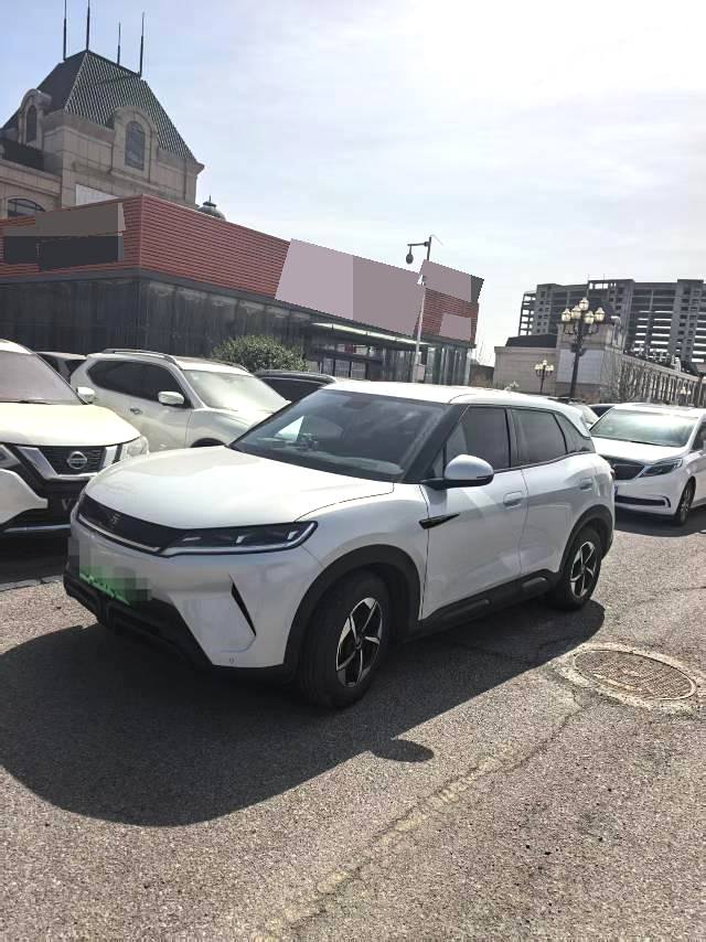 BYD UP 301 км Advanced
