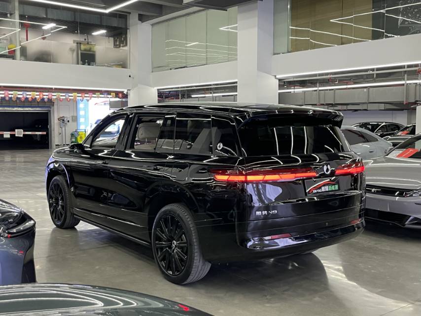 Denza N 9 — флагманская модель