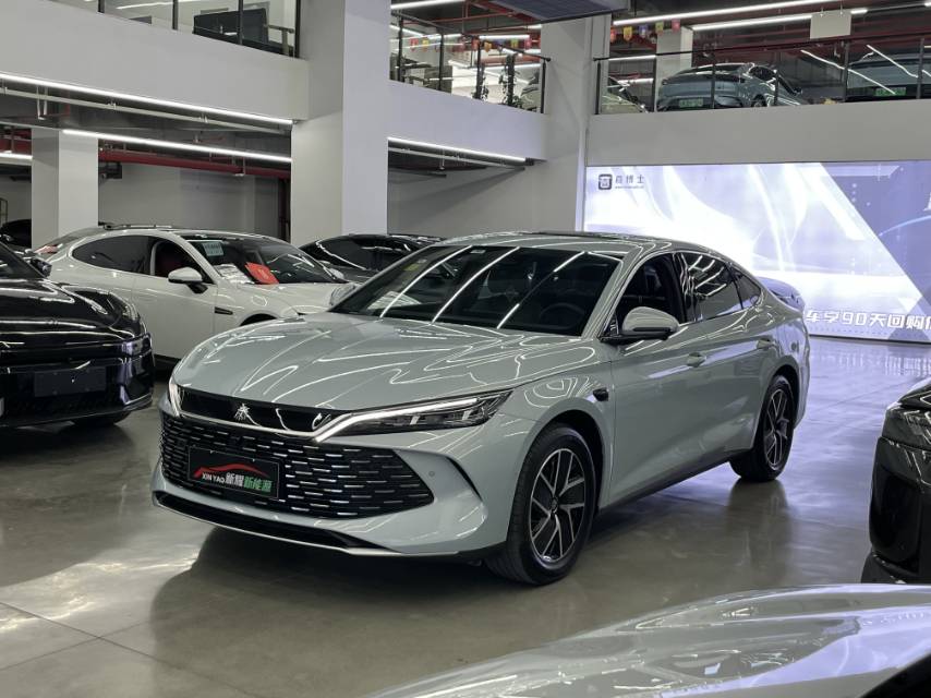 秦 L (Liter) Model Year DM i 智驾版 120KM 超越型