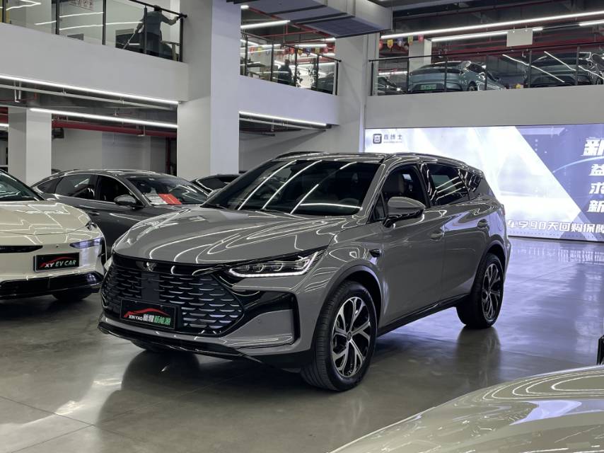 唐新能源 Model Year 智驾版 DM i 115KM Flagship