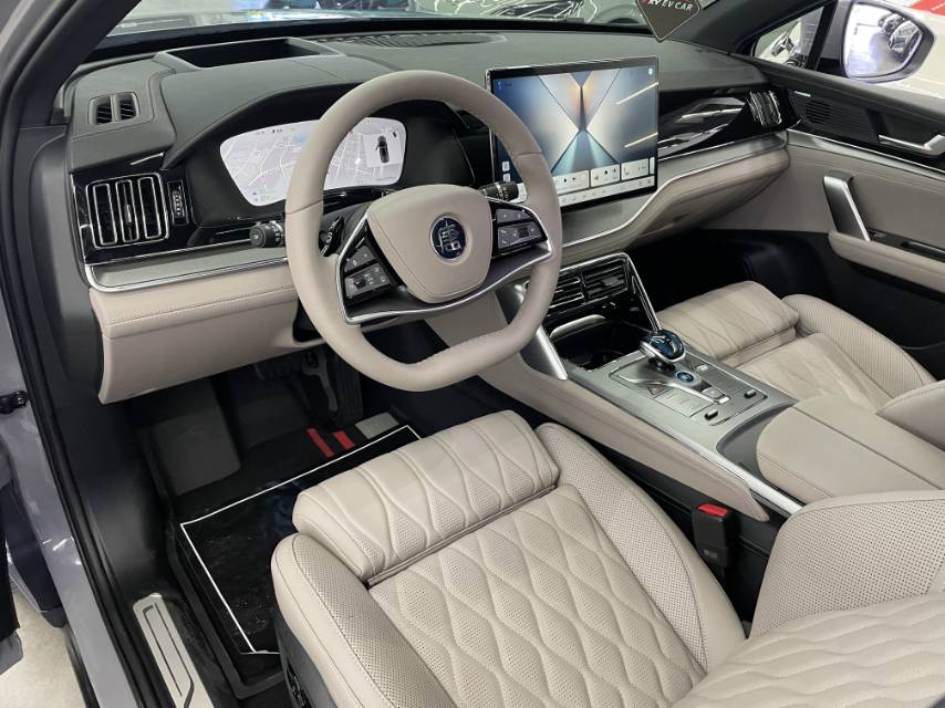 唐新能源 Model Year 智驾版 DM i 115KM Flagship