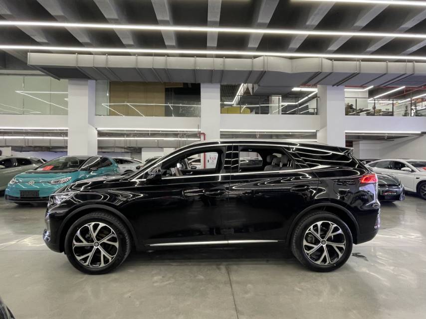 唐新能源 Model Year 智驾版 DM i 115KM Flagship