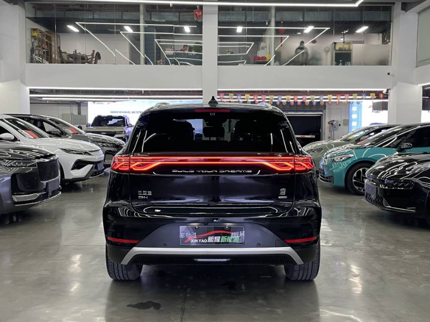 唐新能源 Model Year 智驾版 DM i 115KM Flagship