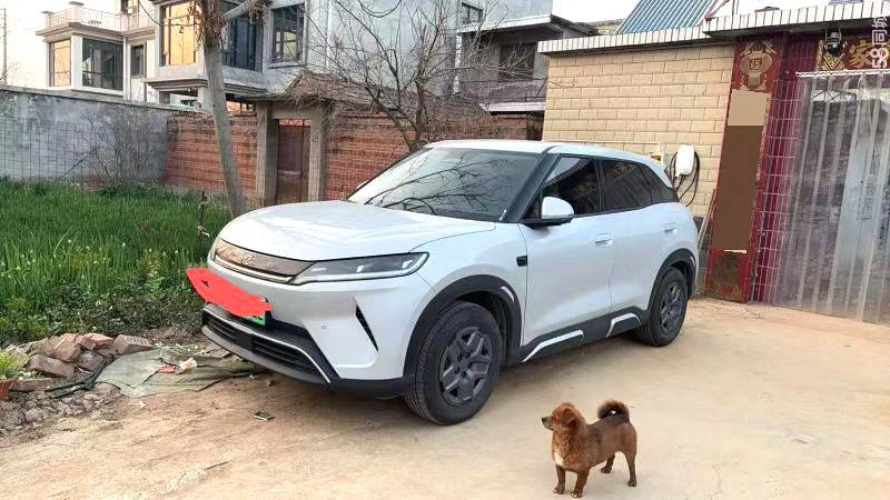 BYD UP 401KM Vitality
