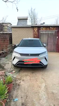BYD UP 401KM Vitality