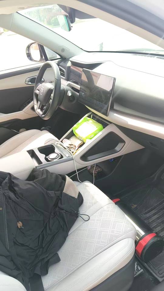 BYD UP 401KM Vitality