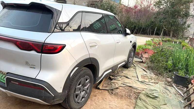 BYD UP 401KM Vitality