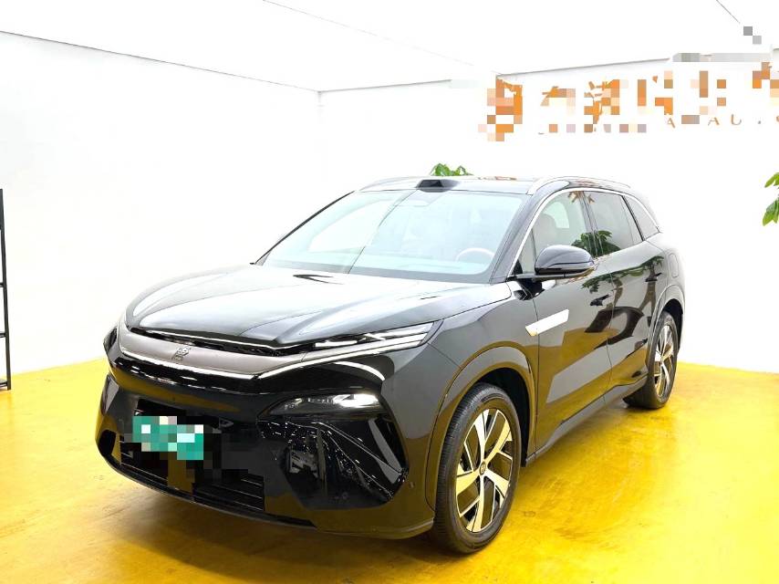 BYD L (Liter) DM 200KM 4WD