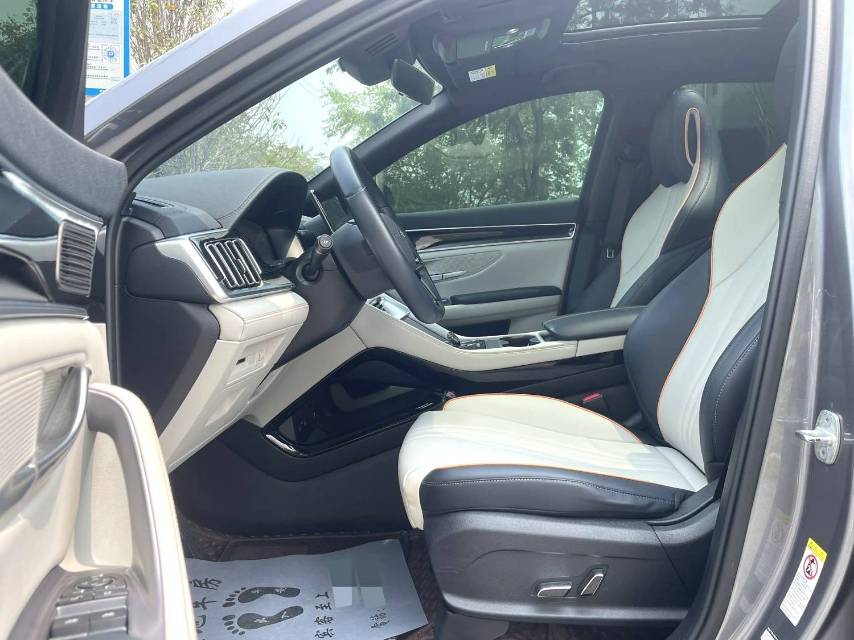 BYD PLUS New Energy Electric Vehicle 520KM Premium