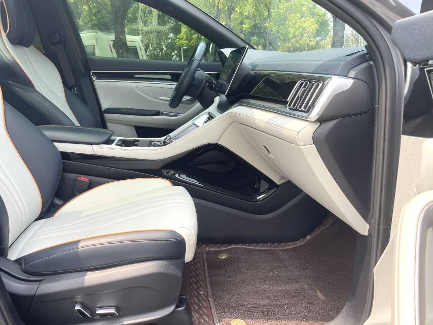BYD PLUS New Energy Electric Vehicle 520KM Premium