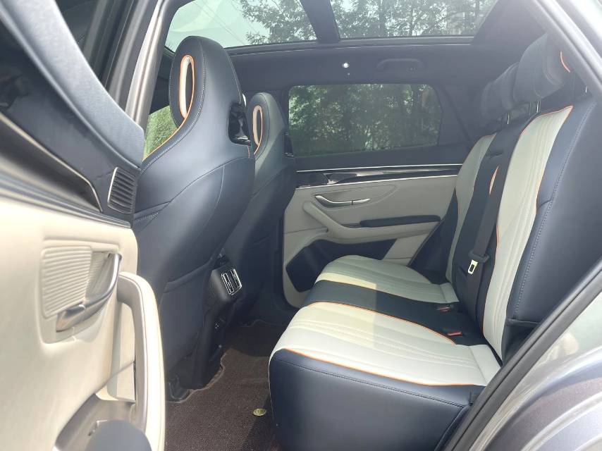 BYD PLUS New Energy Electric Vehicle 520KM Premium