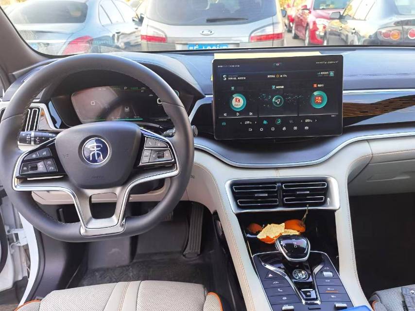 BYD PLUS New Energy Electric Vehicle Premium