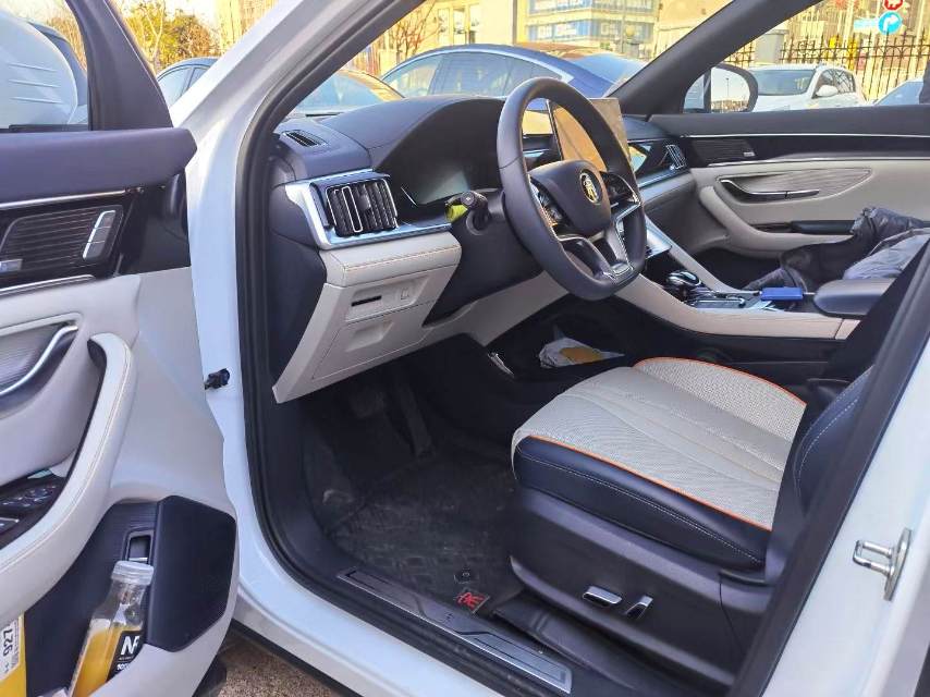 BYD PLUS New Energy Electric Vehicle Premium