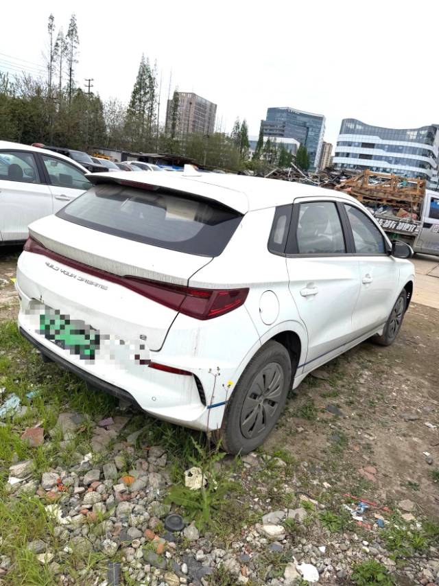 BYD e 2