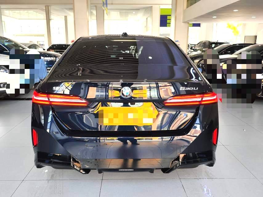 BMW 5 系 Model Year 530Li Advanced M 运动套装