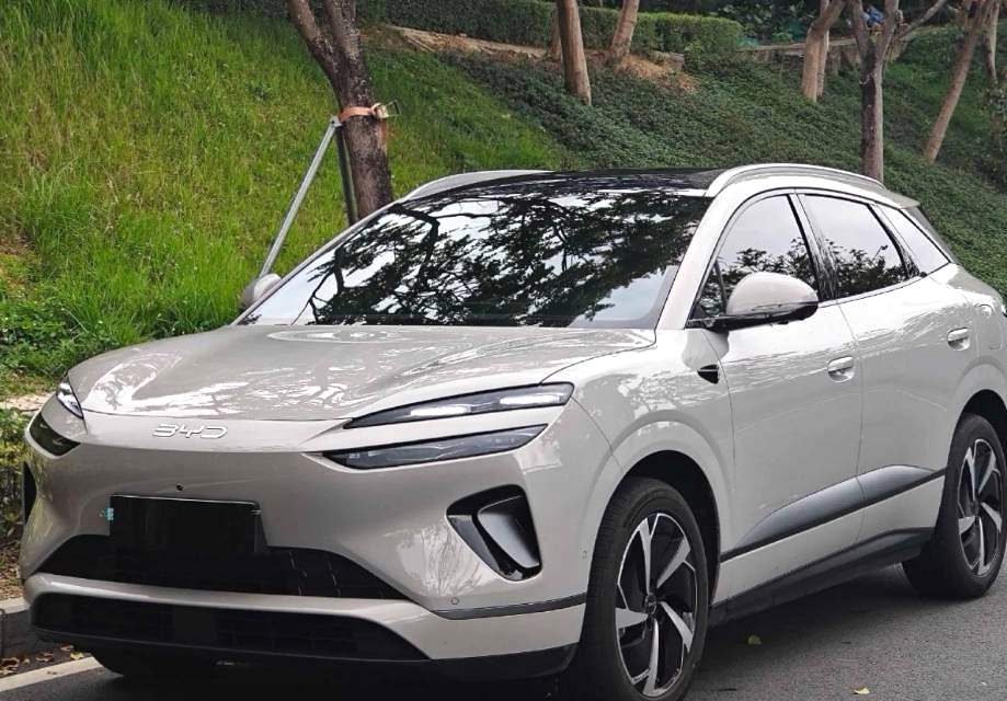 BYD 06 New Energy DM i 170 Pro Version