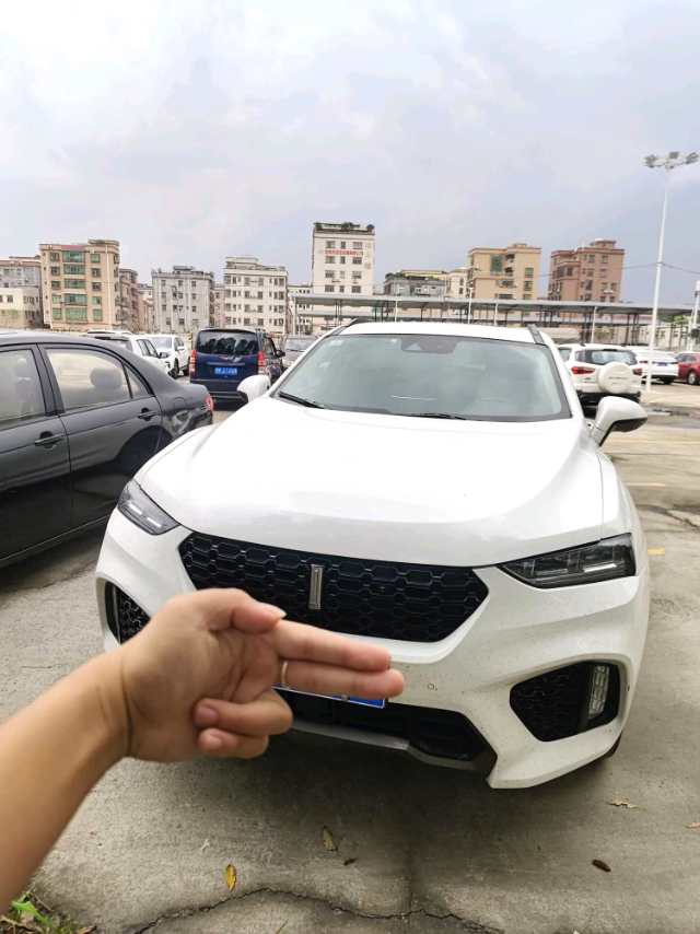 WEY VV 7 2.0T Flagship