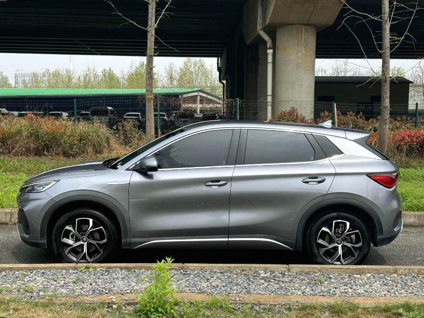 BYD PLUS 510KM Advanced