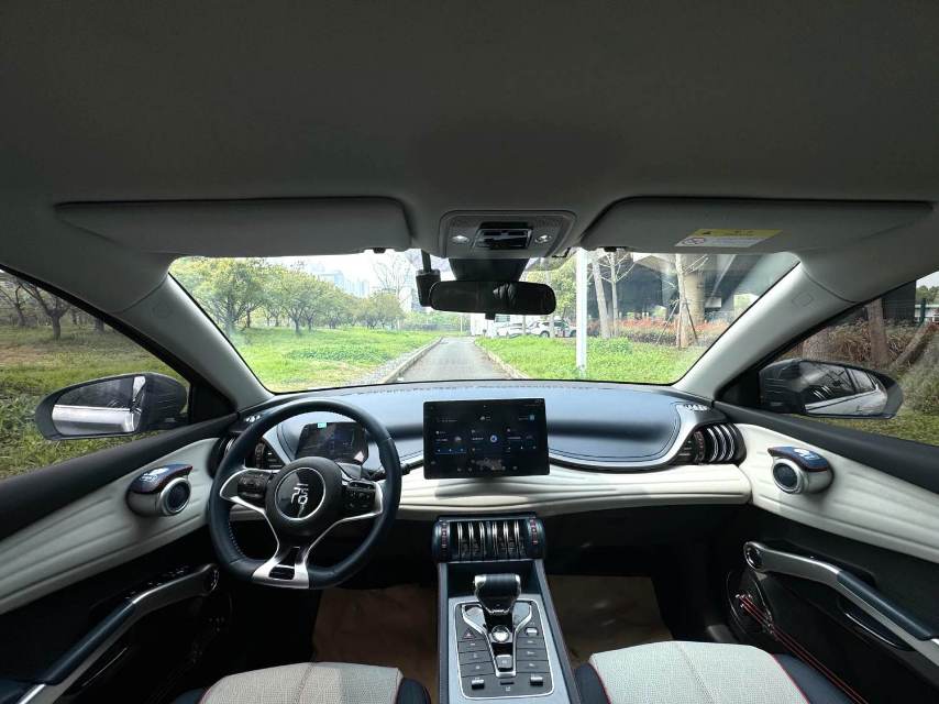 BYD PLUS 510KM Advanced