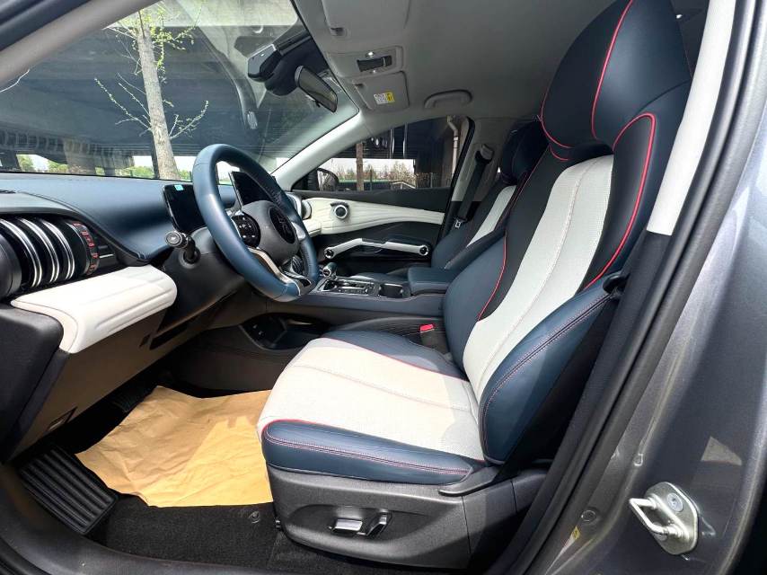 BYD PLUS 510KM Advanced