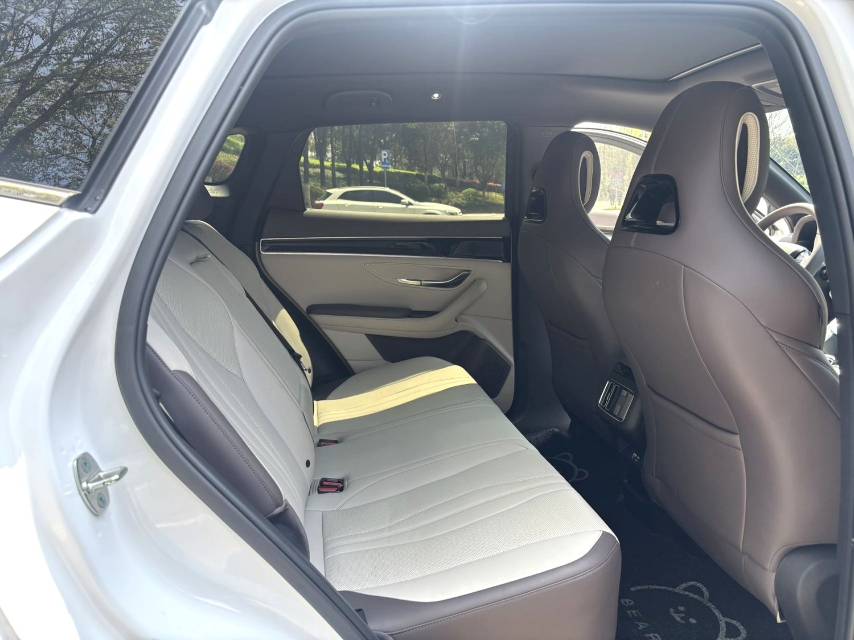 BYD PLUS — электромобиль на альтернативном топливе с запасом хода 520 км, версия Premium