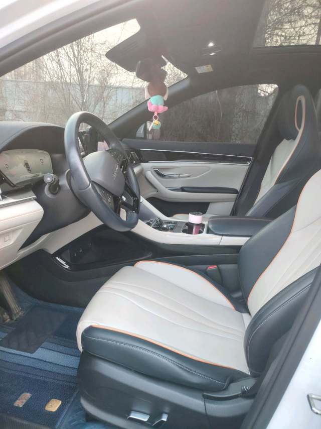 BYD PLUS — электромобиль на альтернативном топливе с запасом хода 520 км, версия Premium