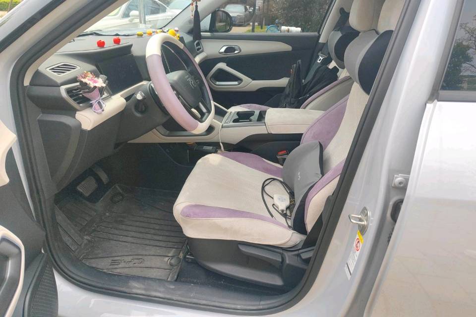 BYD UP 401KM Vitality