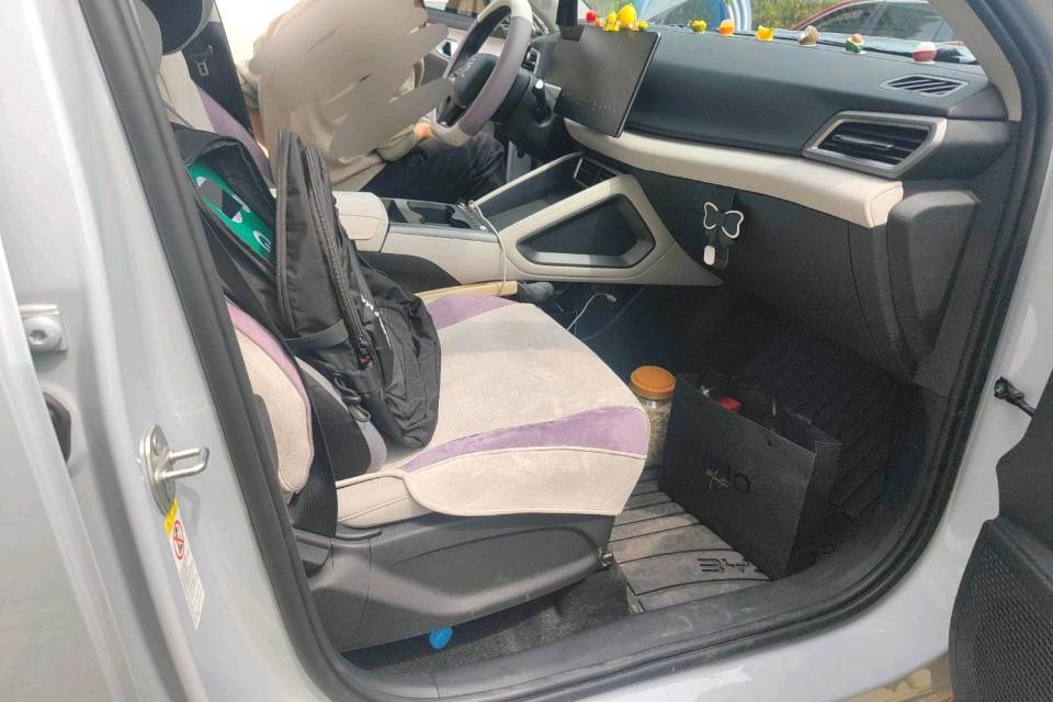 BYD UP 401KM Vitality