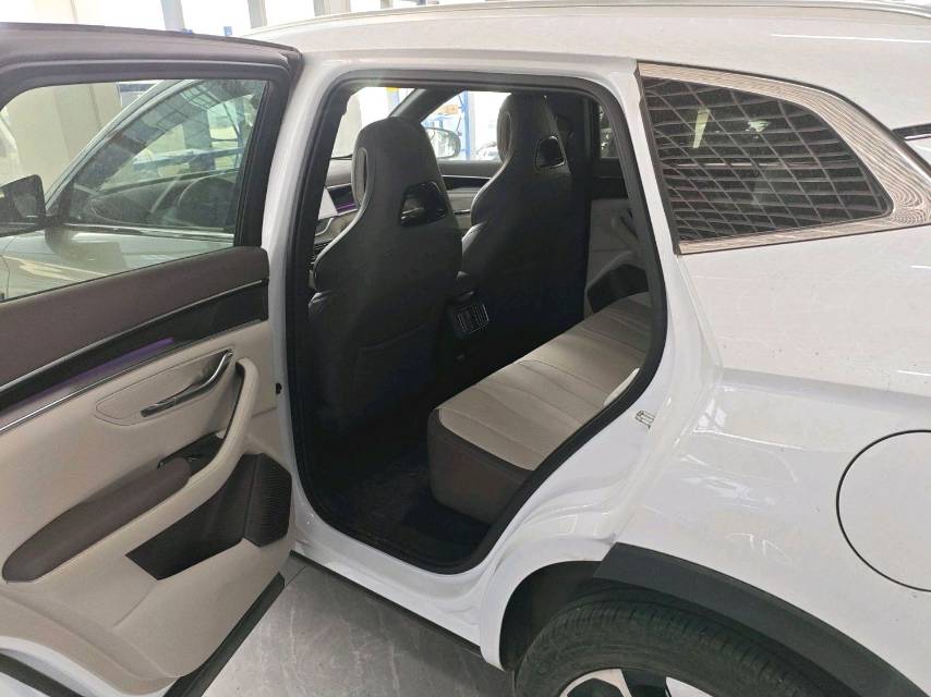 BYD PLUS — электромобиль на альтернативном топливе с запасом хода 520 км, версия Premium