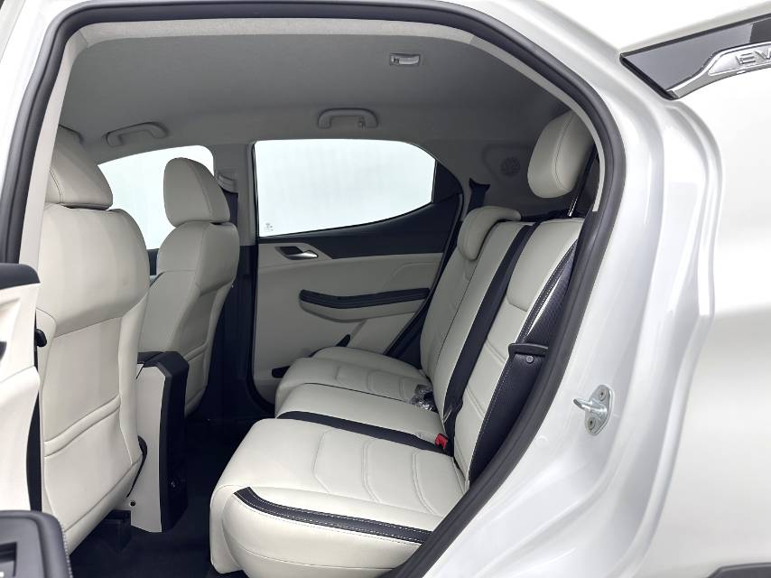 元 Pro Model Year 401KM Luxury