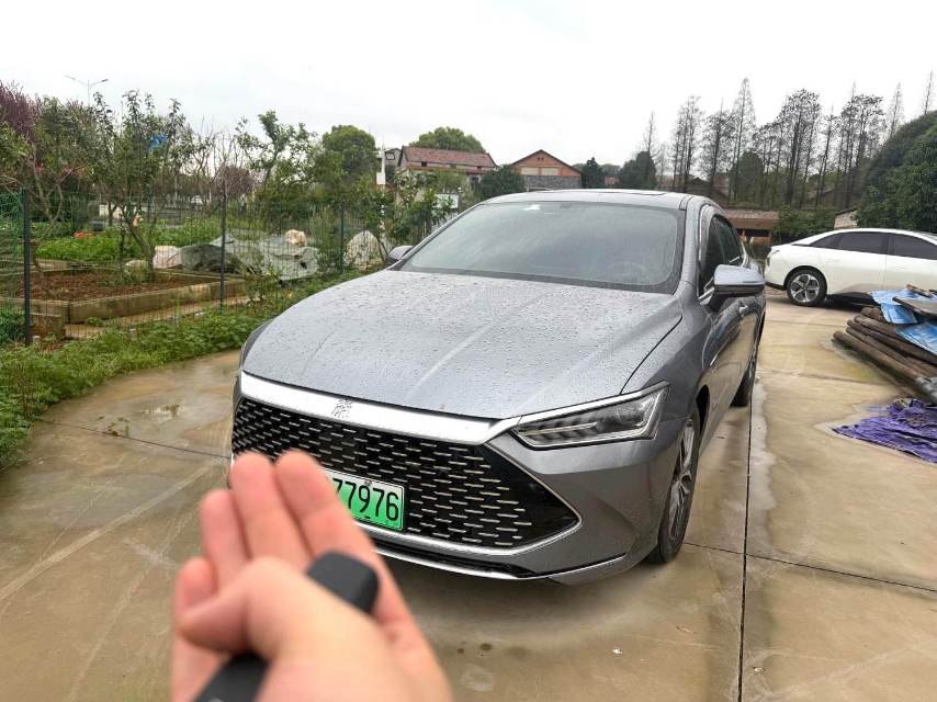 BYD PLUS DM i 55KM Flagship