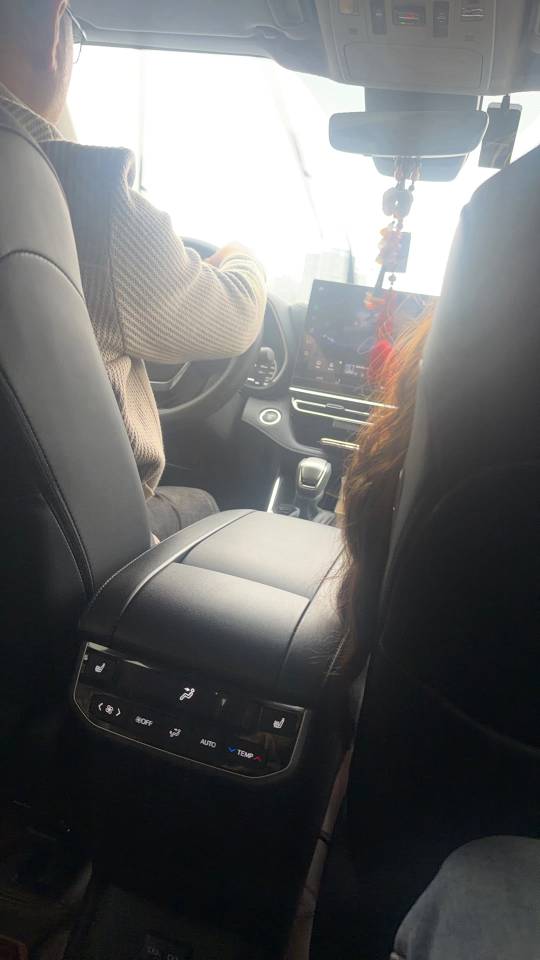 秦 PLUS Model Year DM i 55KM Flagship