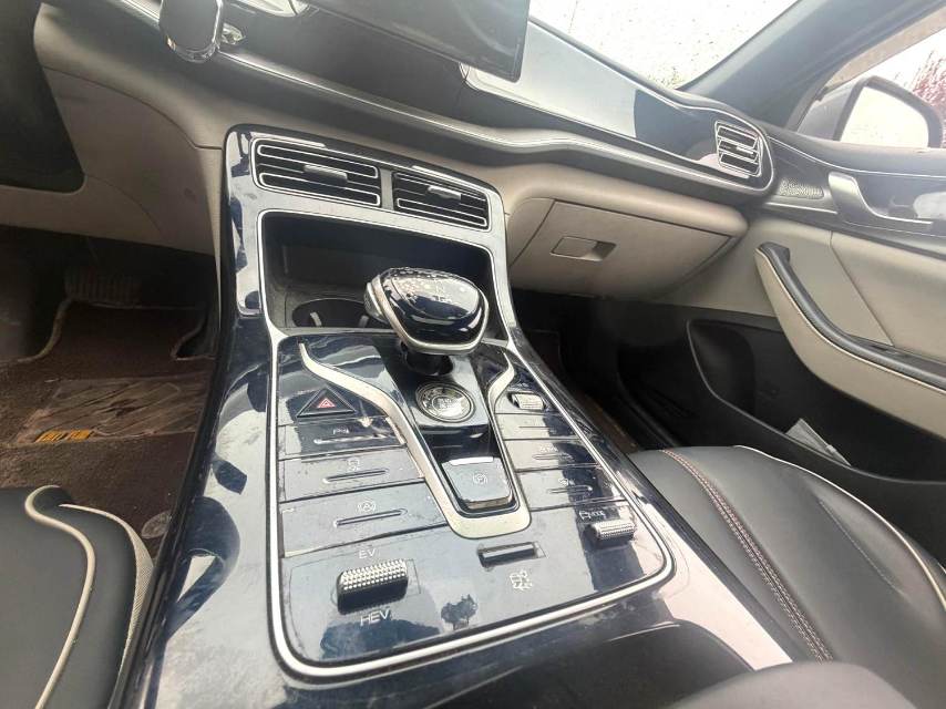 秦 PLUS Model Year DM i 55KM Flagship