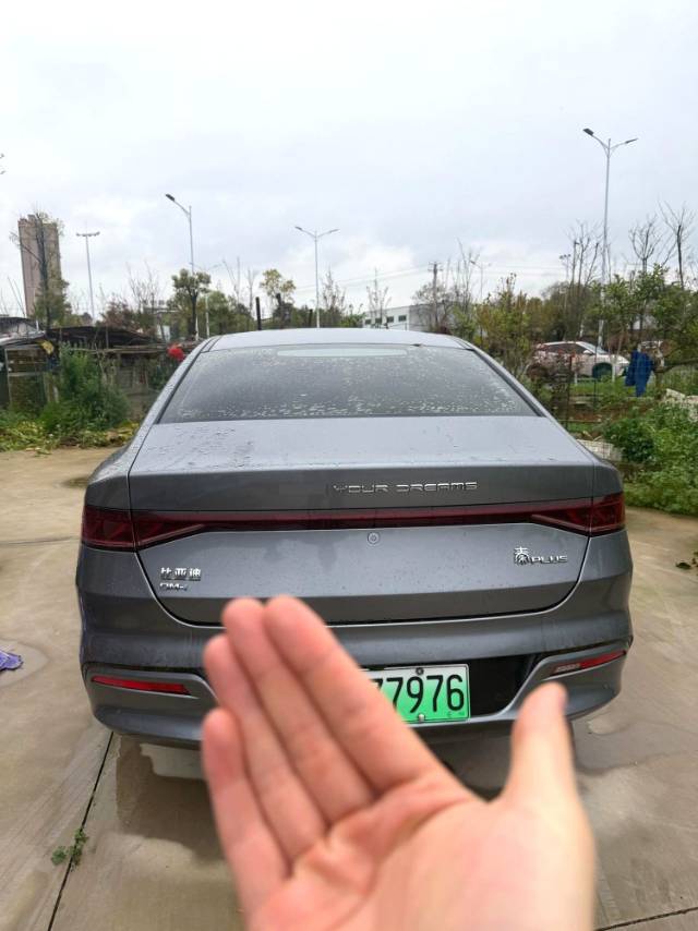秦 PLUS Model Year DM i 55KM Flagship