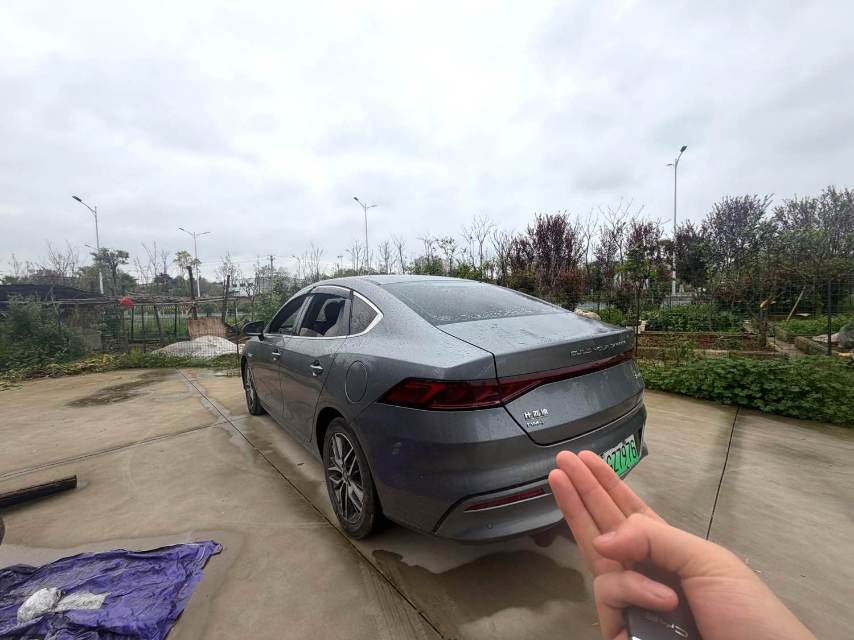 秦 PLUS Model Year DM i 55KM Flagship