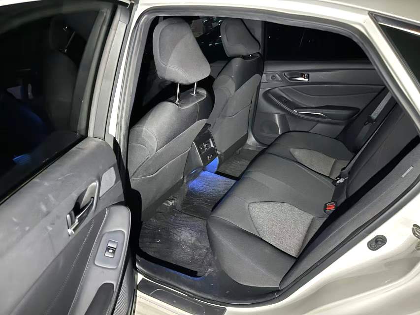 亚洲龙 Model Year 2.0L 进取版 国 VI