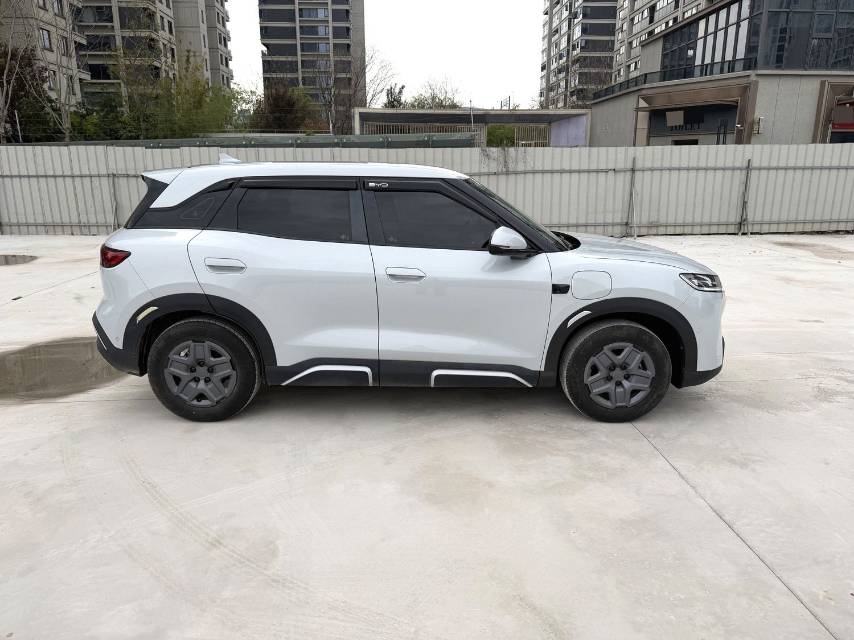 BYD UP 401KM Vitality